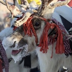 Март-апрель 2026