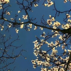 Неплохо, но перечитывать не стала бы