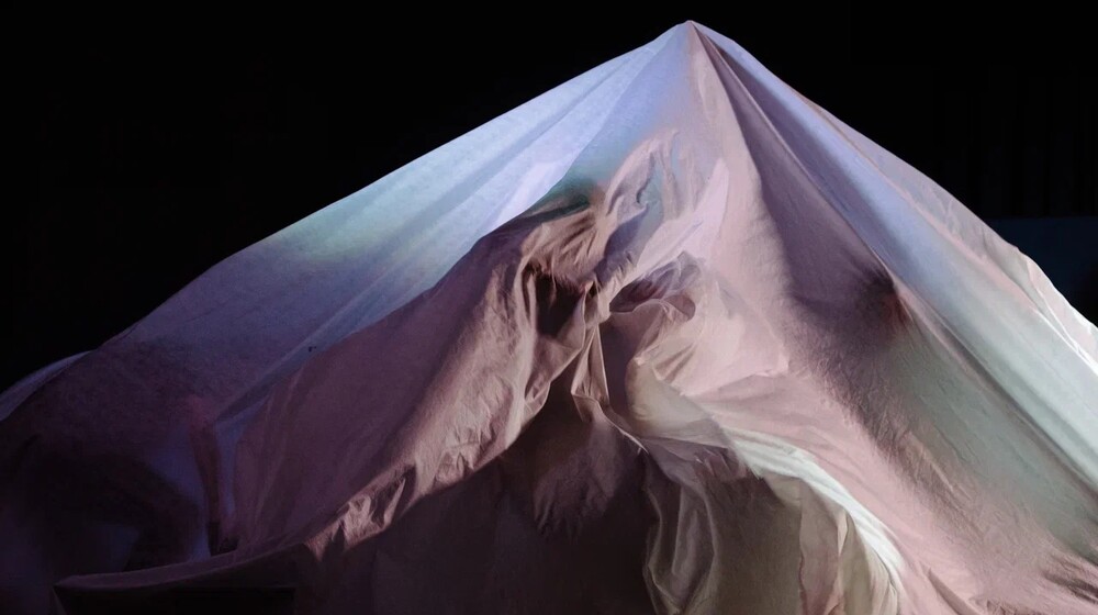 педагогика / театр /психология