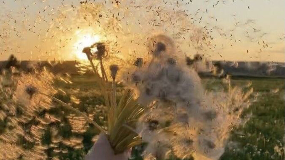 Слеш
(+Частичное присутствие)