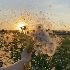 Слеш
(+Частичное присутствие)