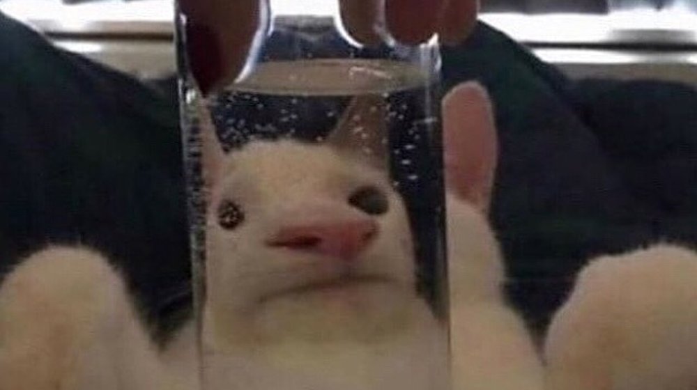 самосовершенствование, самоанализ, самореализация