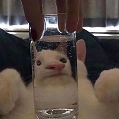 самосовершенствование, самоанализ, самореализация