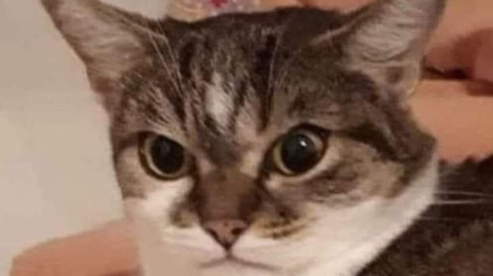 ФМ Достоевский