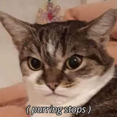 ФМ Достоевский