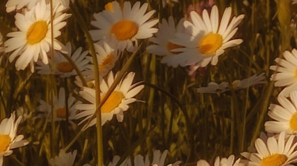 4. Макс Фрай, Ещё о мире