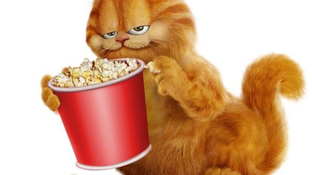 Серия книг "коломба кассели"