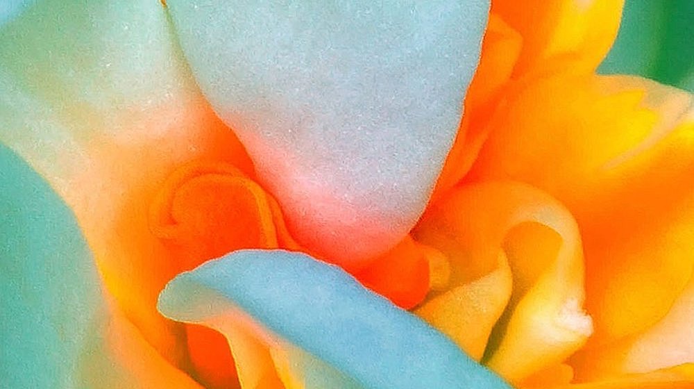 Юлия Ларросса 