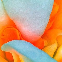 Юлия Ларросса 