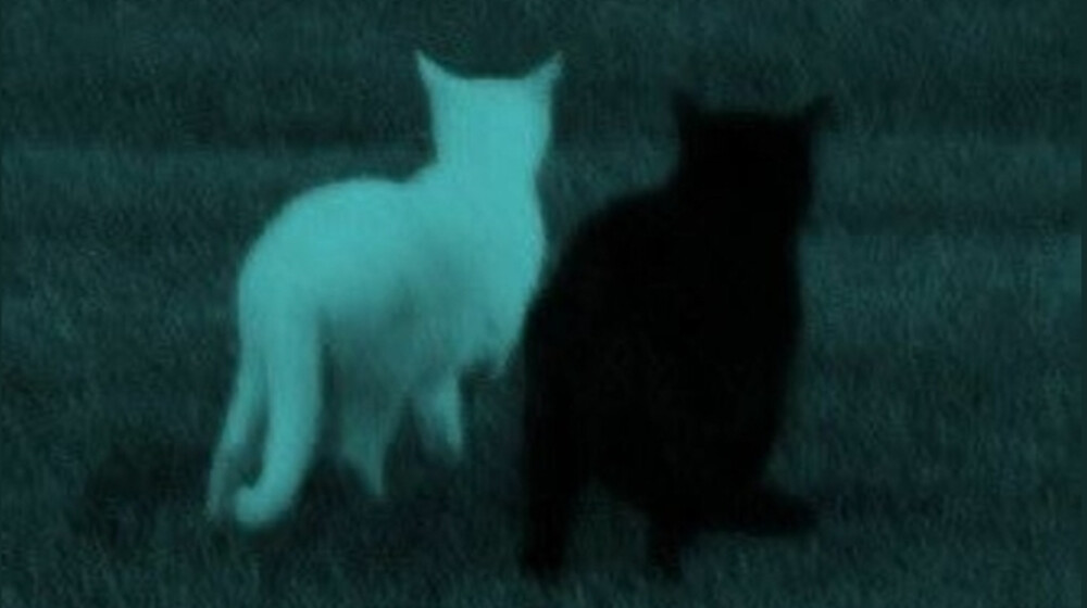 комиксы и манхвы