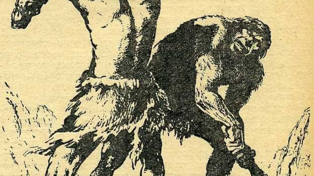 Антропология для неантрополога