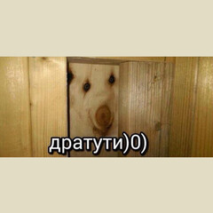 Шиза  Лодо Гритс