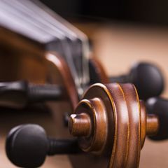 Художественно-научное 
