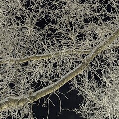 не все дома