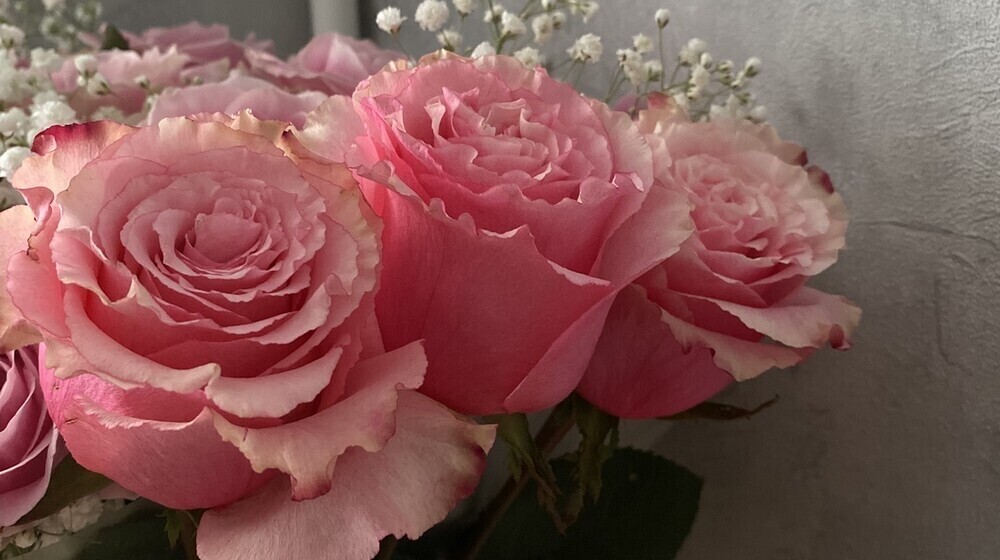 Приятные книги 16+