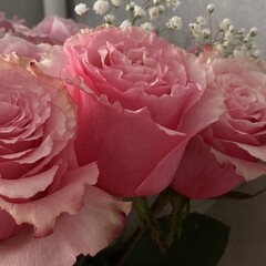 Приятные книги 16+