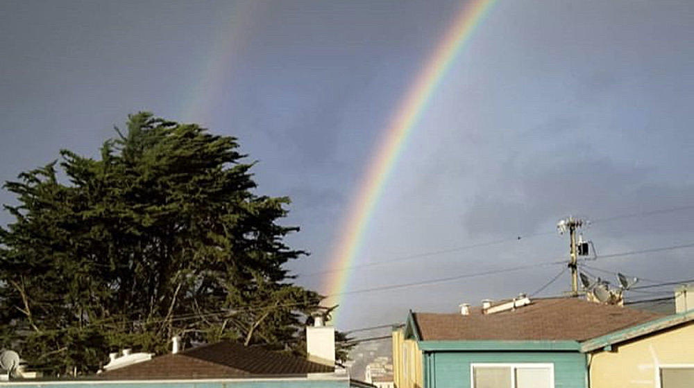 ЕГЭ по литературе