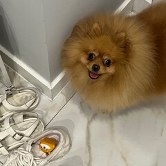 Рандомные аудиокниги обо всем