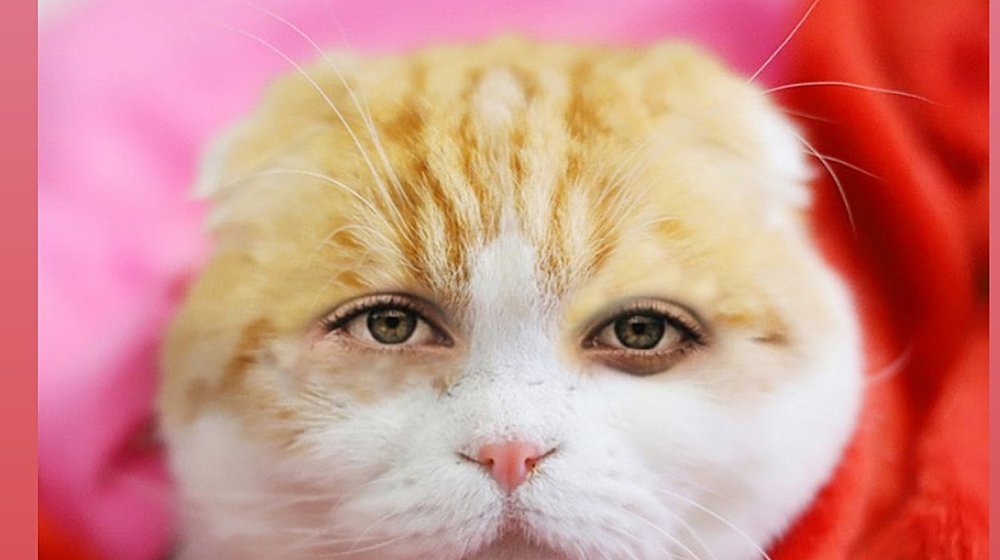 Для внутреннего баланса