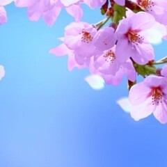 Прочитанное