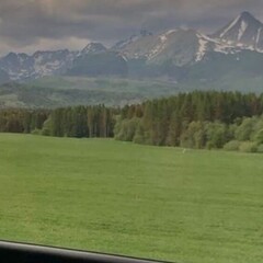 Головные мюсли