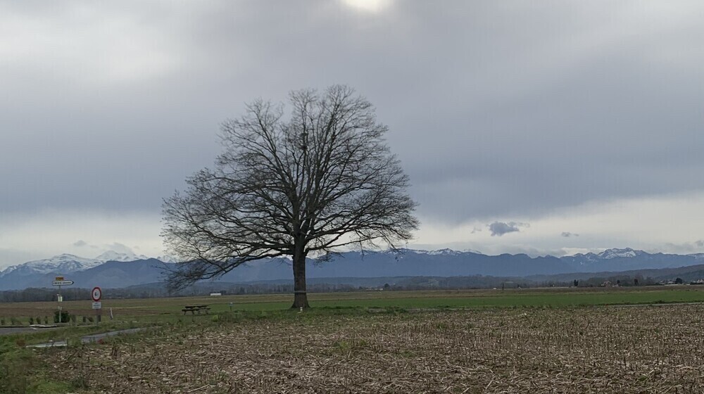 Для саморазвития 