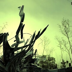 Все книги Стругацких