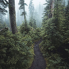 Путешествия и исследования