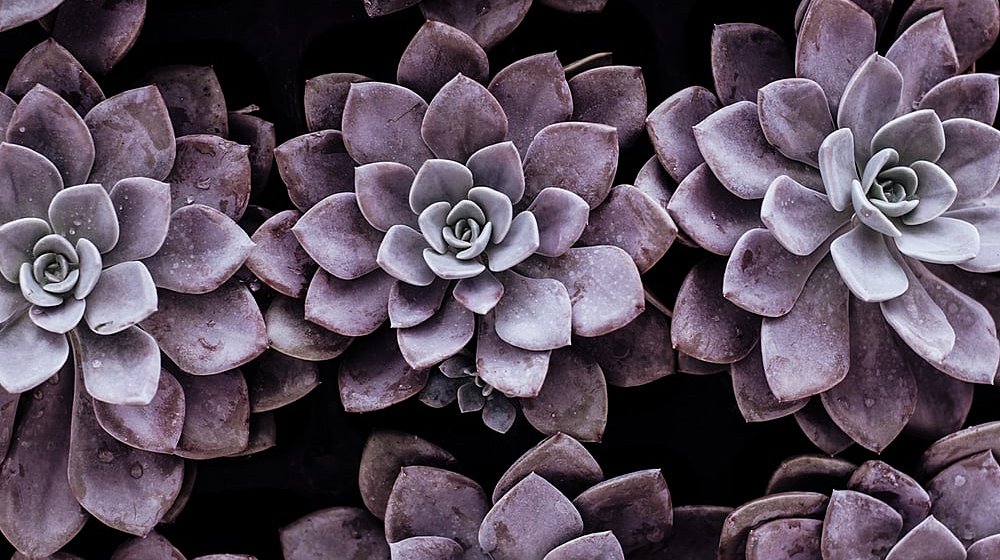 Стратегическое мышление