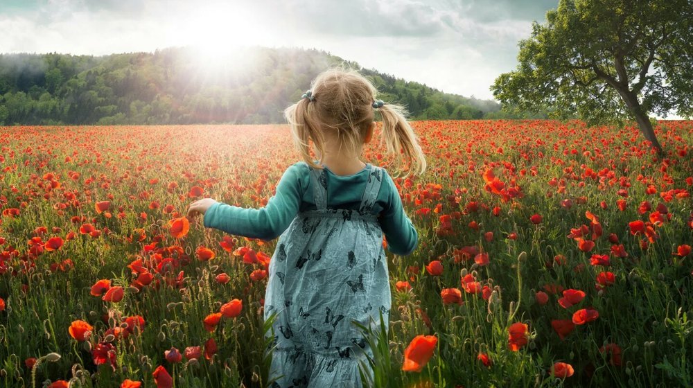 Детская литература 