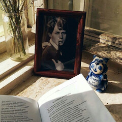 Литературоведение📚