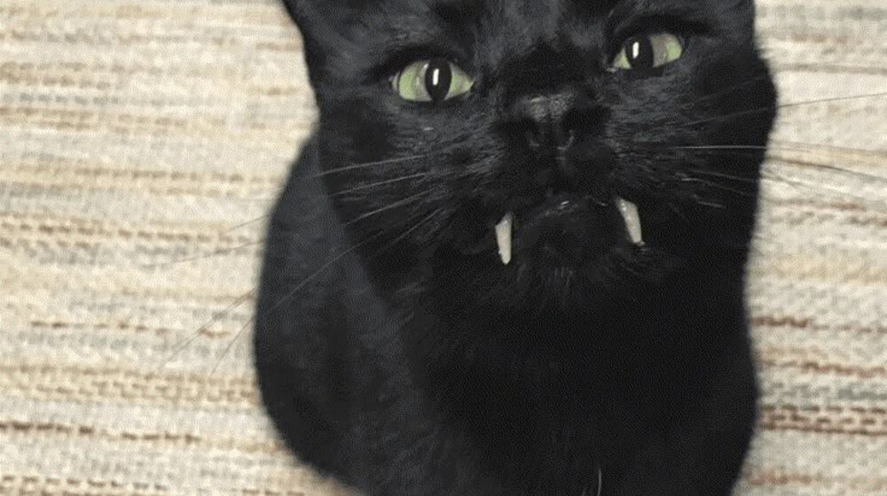 Не лучшие, но просто хорошие книги