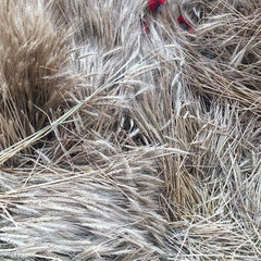    ❤️ Психологические книги для самопознания