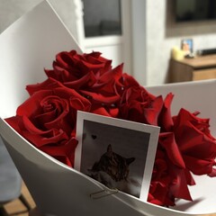 Фэнтези книги 18+ 