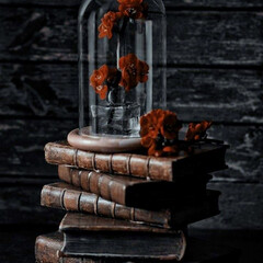 Точно перечитаю