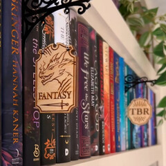 Фэнтезийная полка