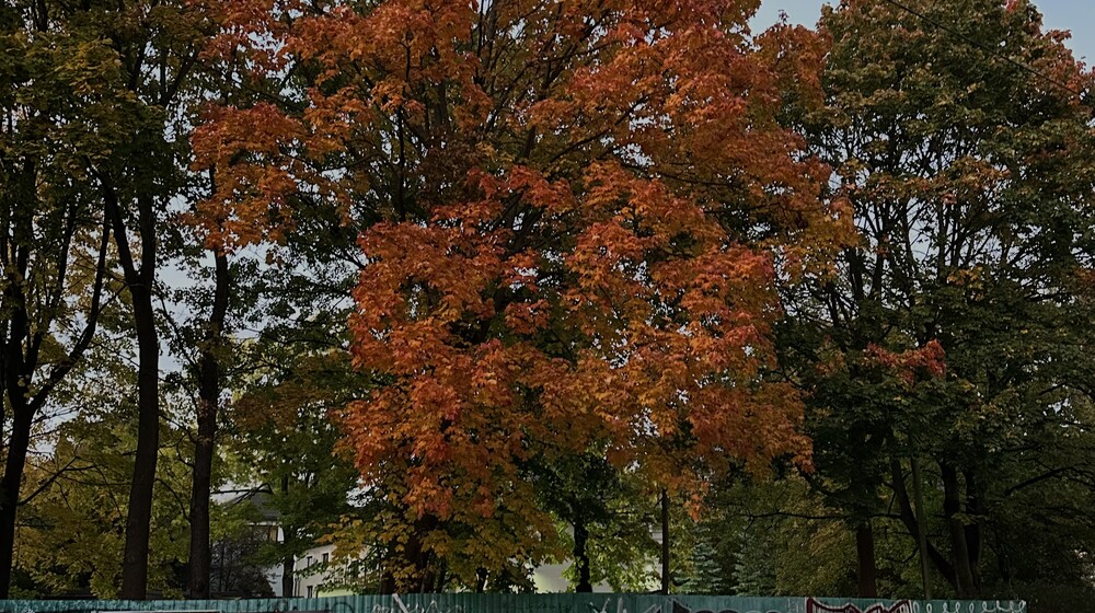 Книги ноябрь -декабрь 