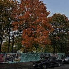 Книги ноябрь -декабрь 