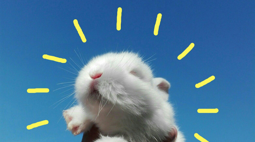 Список литературы на лето.