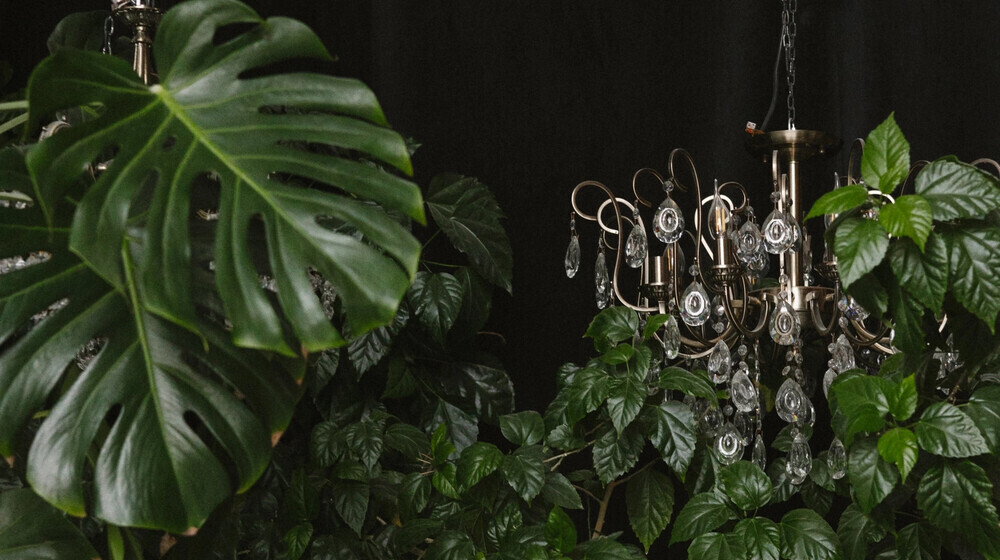 Хочу прочитать в 2026 году💡