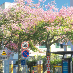 Любими романтик