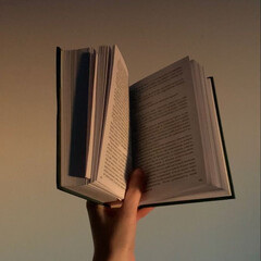 Хорошие романы