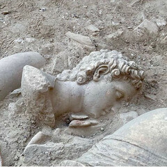 Культурология, антропология, история, искусство. Полка элитизма