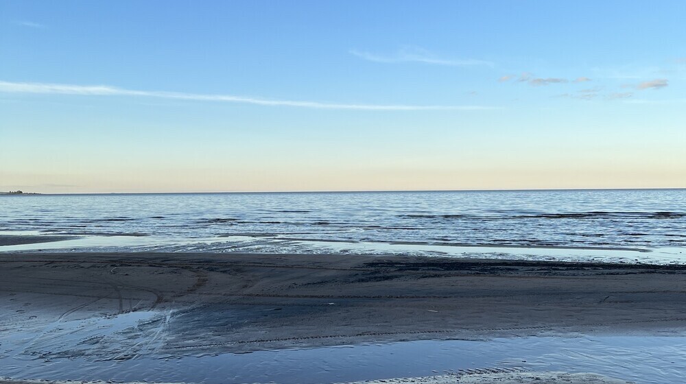 Полка Агаты 🕵️‍♀️👣