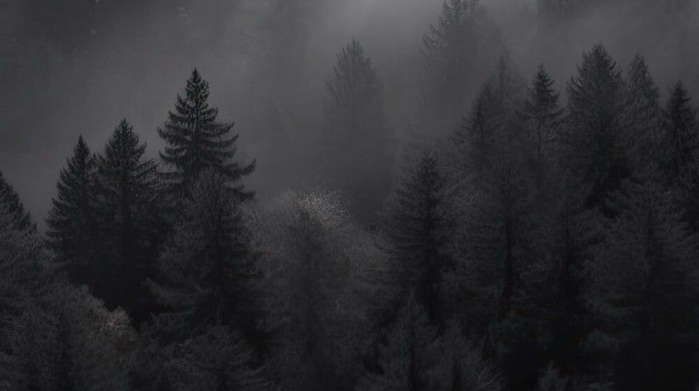 Мышление📝