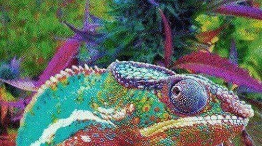 Что-то новенькое 🤔