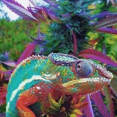 Что-то новенькое 🤔