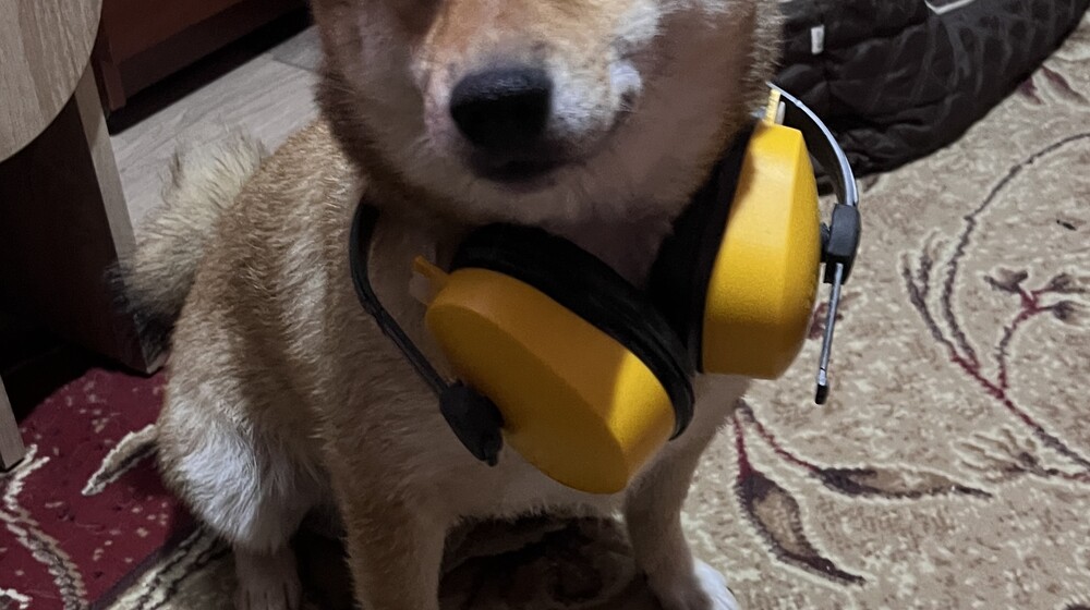 Ветеринария