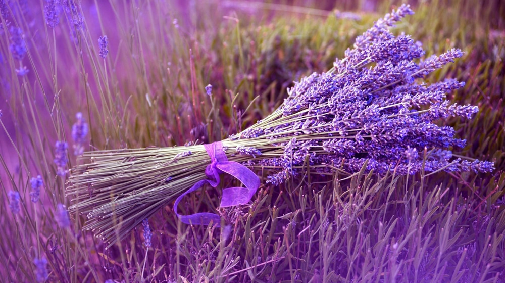 Зарубежный роман