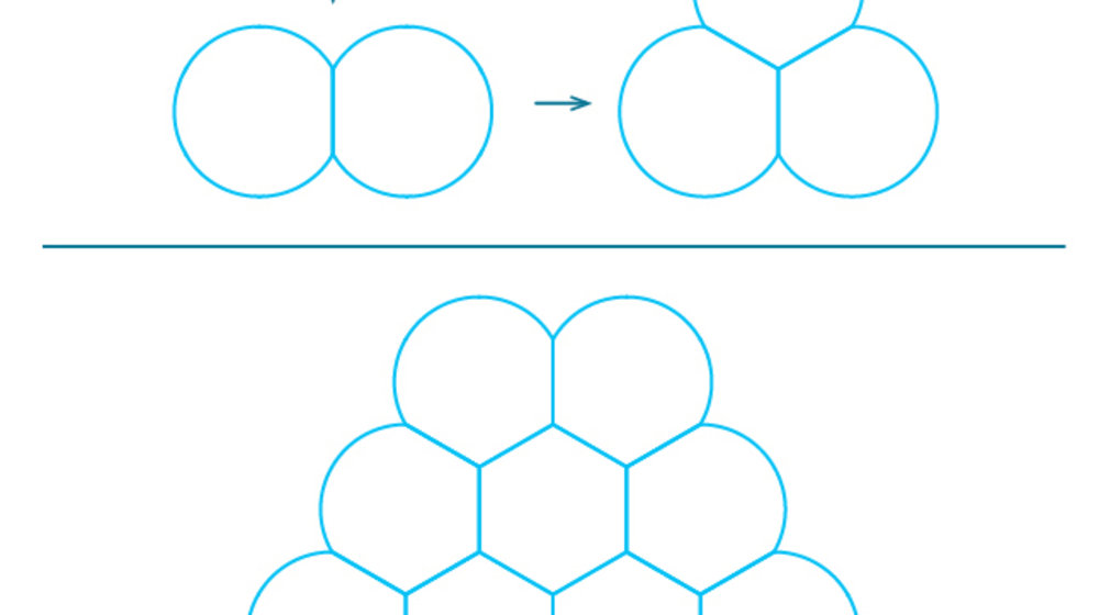 Архитектура и дизайн